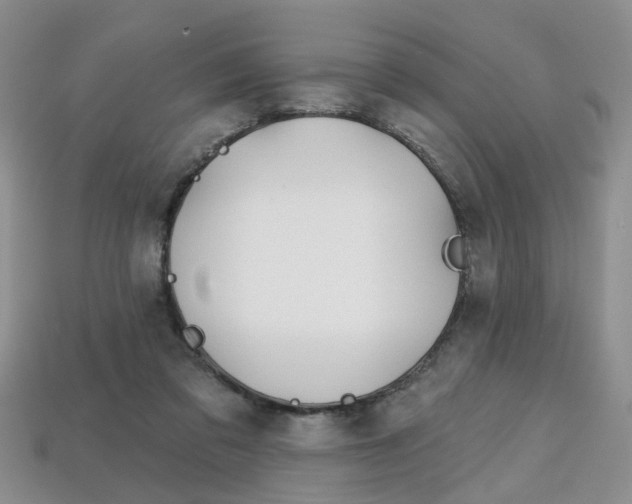 X0000113860309200909241031