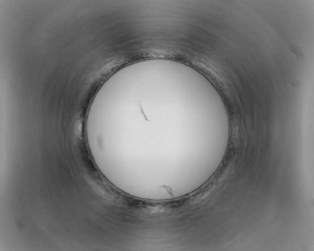 X0000113860310200909241031