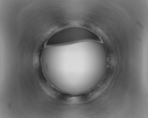 X0000113860312200909241031