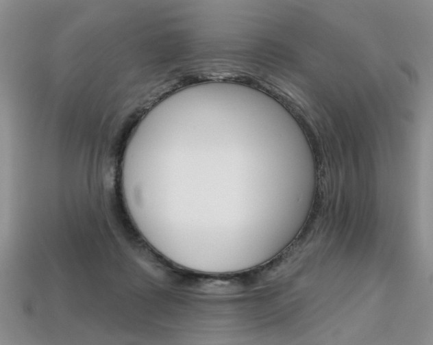 X0000113860315200909241031