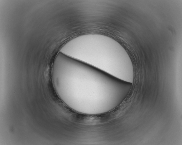 X0000113860319200909241031