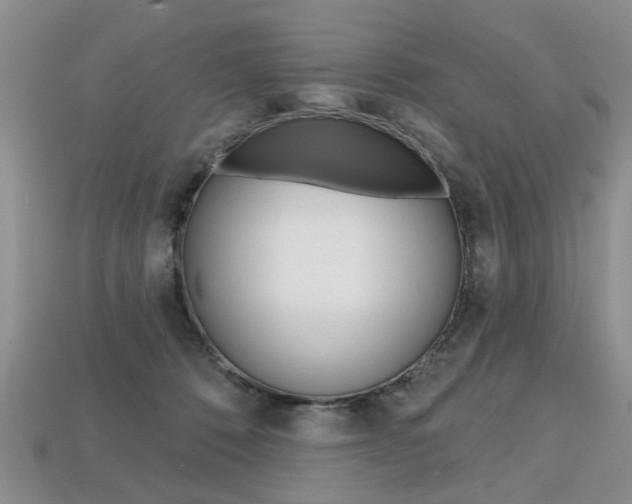 X0000113860320200909241031