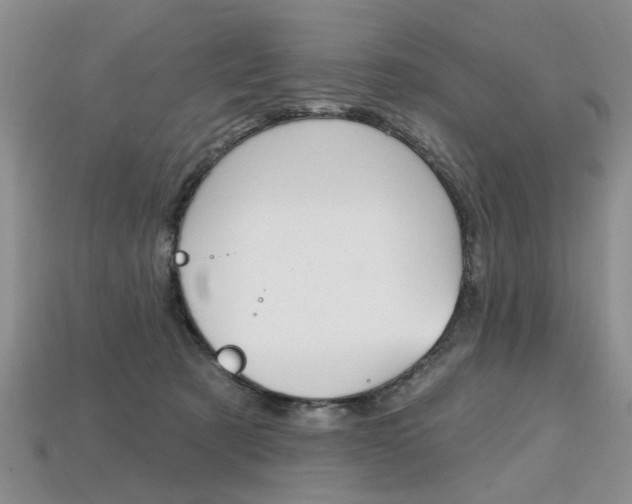 X0000113860321200909241031