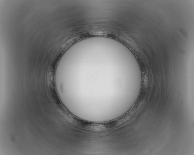 X0000113860322200909241031