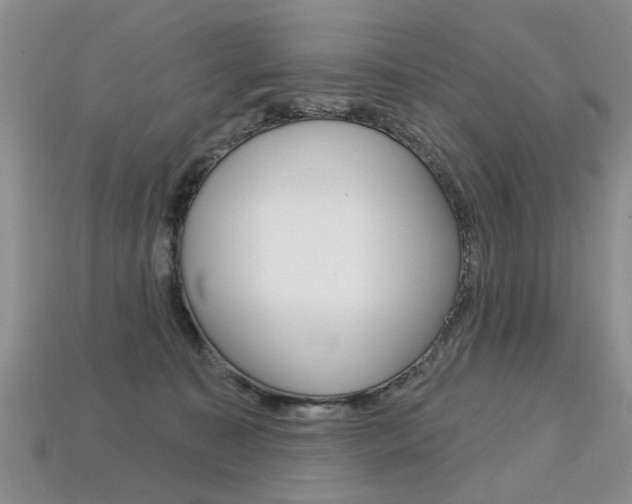 X0000113860323200909241031