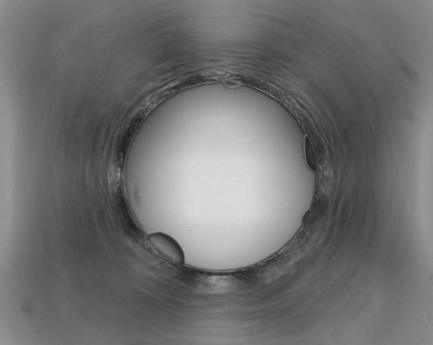 X0000113860324200909241031