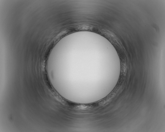 X0000113860326200909241031