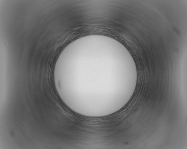 X0000113860327200909241031
