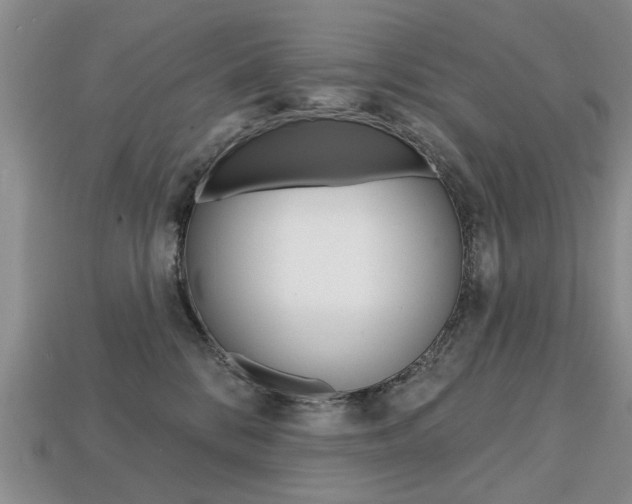 X0000113860328200909241031