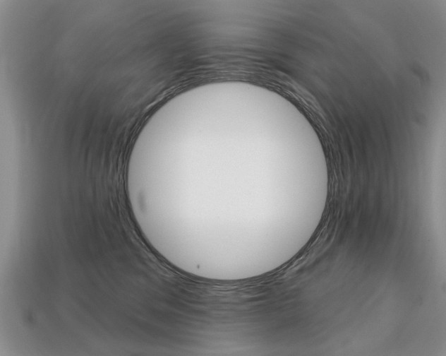 X0000113860329200909241031