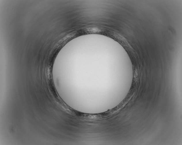 X0000113860330200909241030