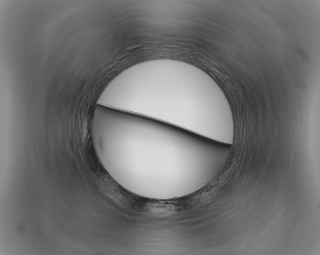 X0000113860331200909241030