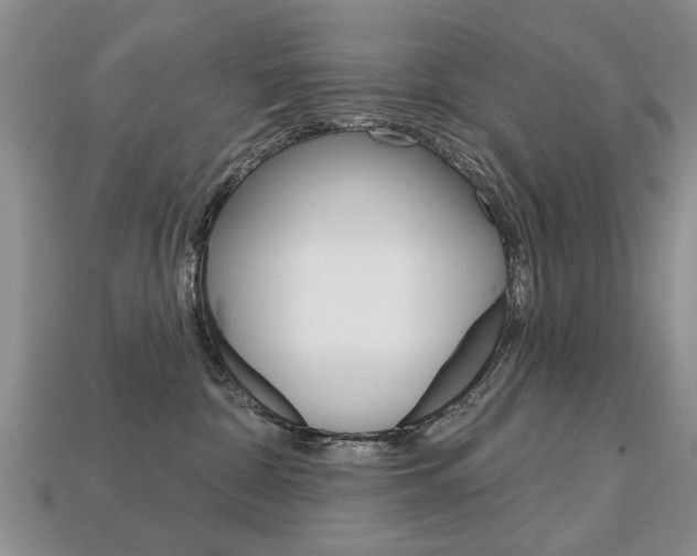 X0000113860332200909241030
