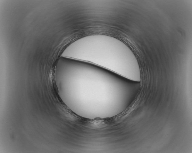 X0000113860333200909241030