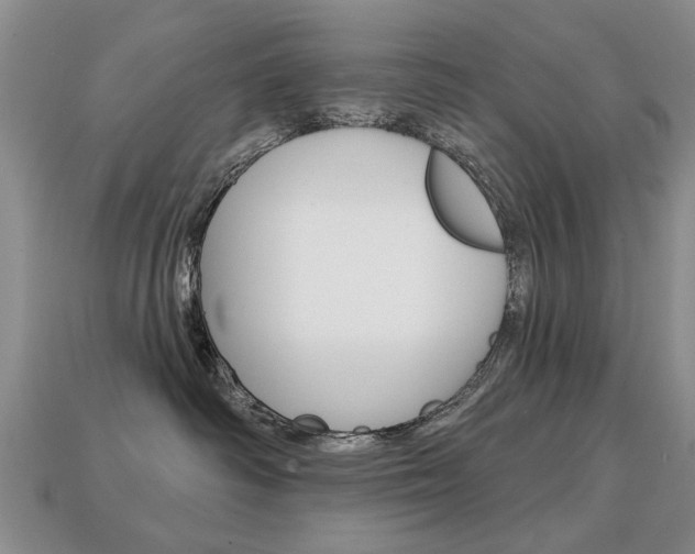 X0000113860334200909241030