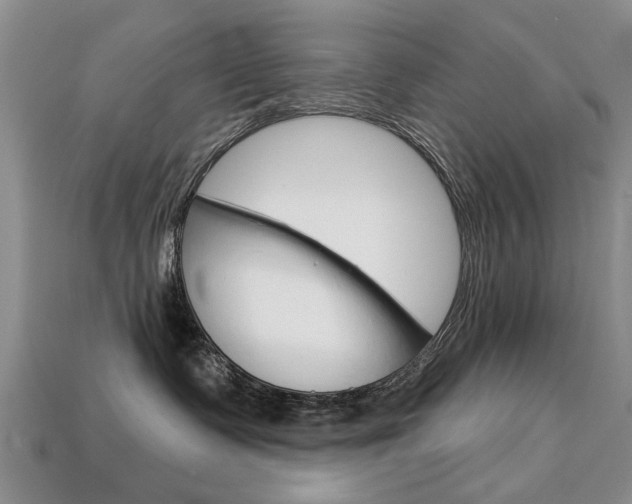 X0000113860335200909241030