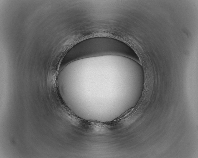 X0000113860336200909241030