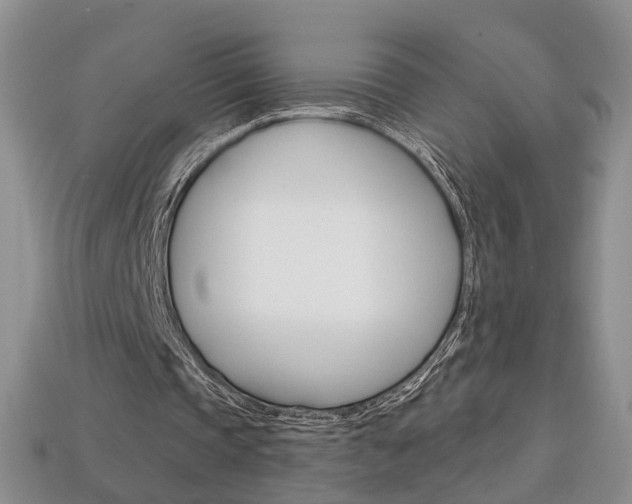 X0000113860337200909241030