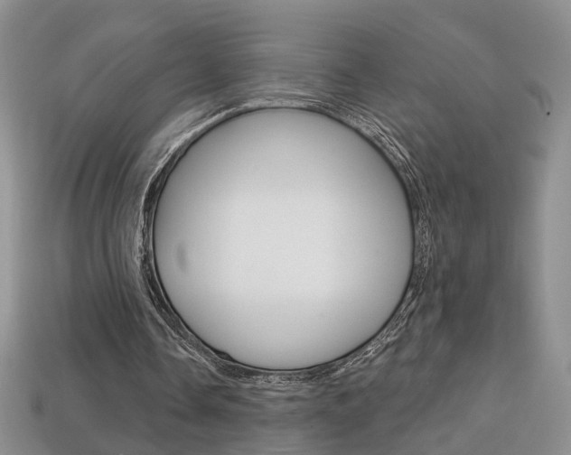X0000113860338200909241030