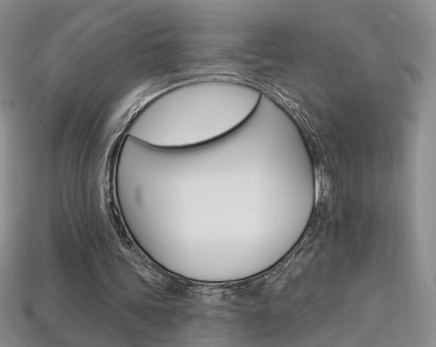 X0000113860339200909241030
