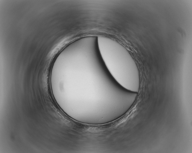 X0000113860341200909241030