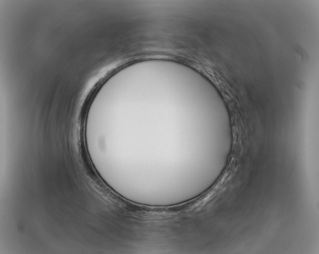 X0000113860342200909241030