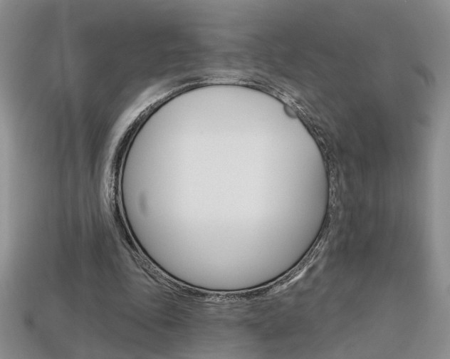 X0000113860343200909241030