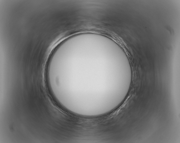 X0000113860344200909241030