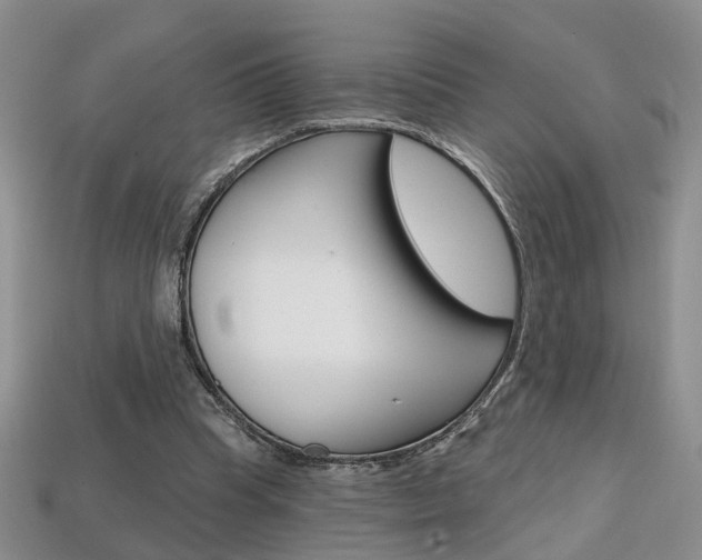 X0000113860345200909241030