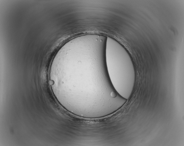 X0000113860347200909241030