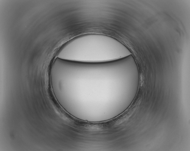 X0000113860349200909241030