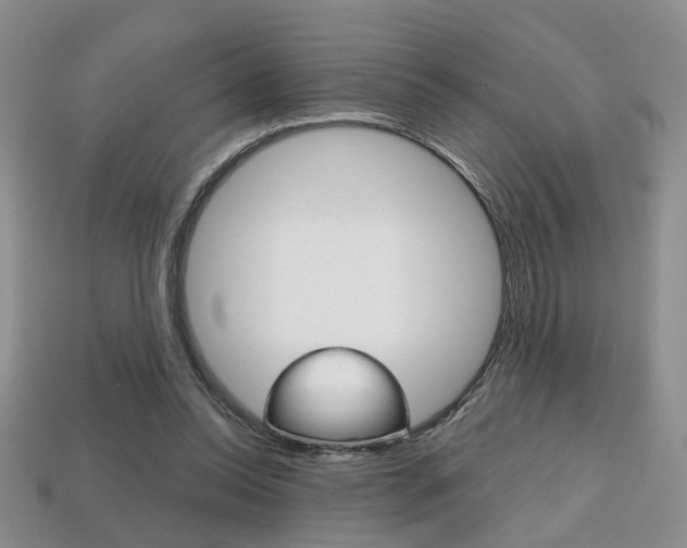 X0000113860350200909241030