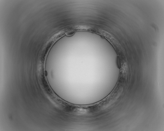 X0000113860352200909241030