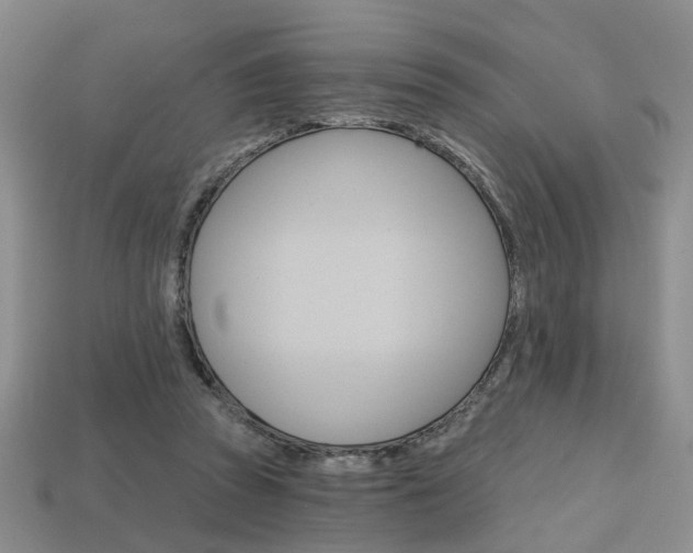 X0000113860353200909241030