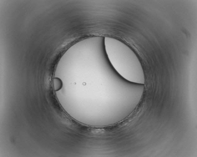 X0000113860355200909241030