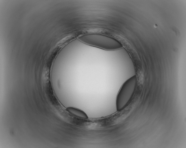 X0000113860356200909241030