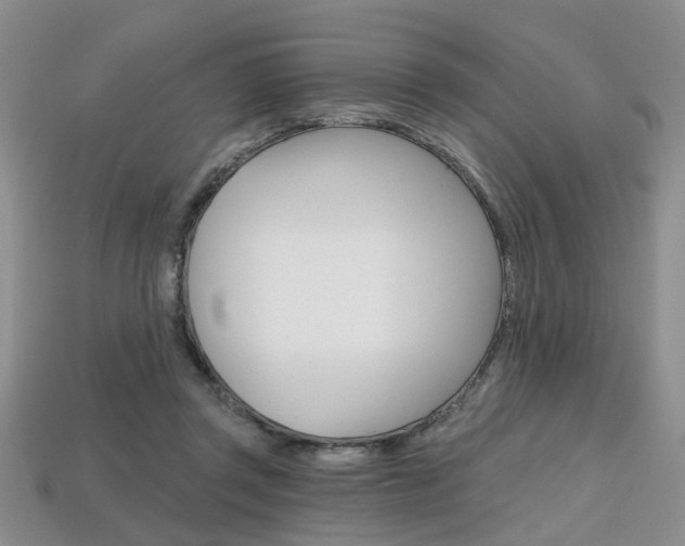 X0000113860357200909241030