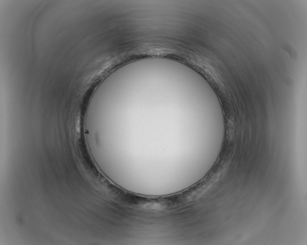 X0000113860358200909241030