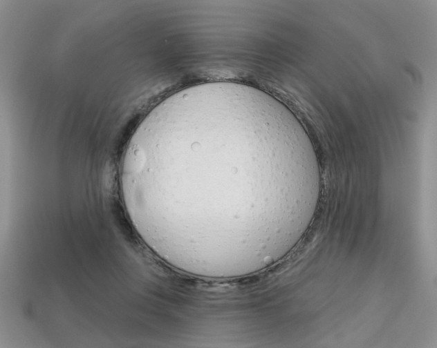 X0000113860359200909241030