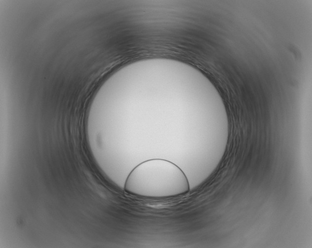 X0000113860360200909241030