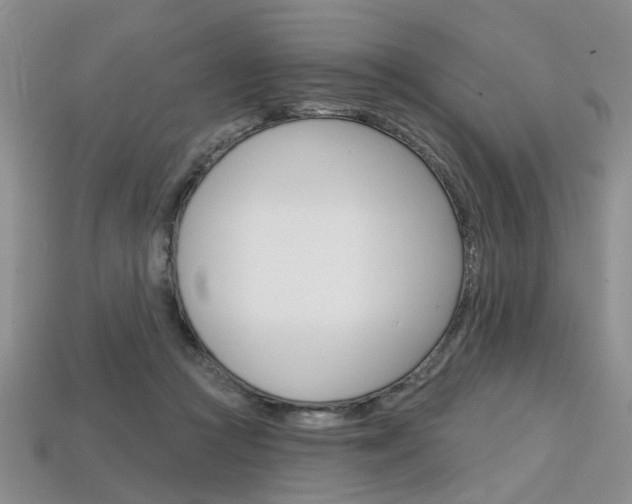 X0000113860361200909241030