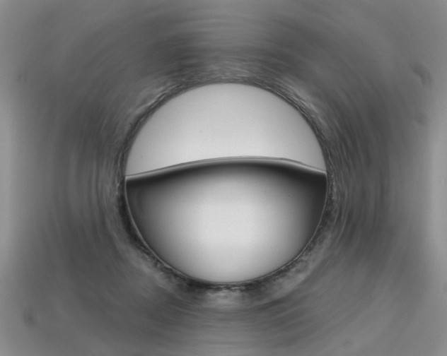 X0000113860362200909241030