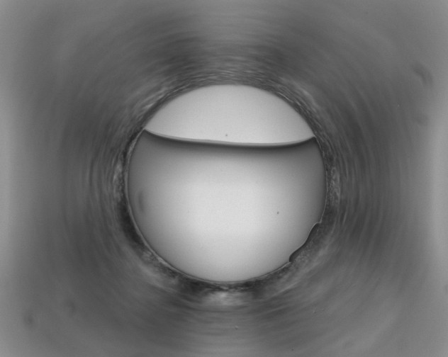X0000113860364200909241030