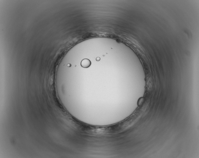 X0000113860365200909241030