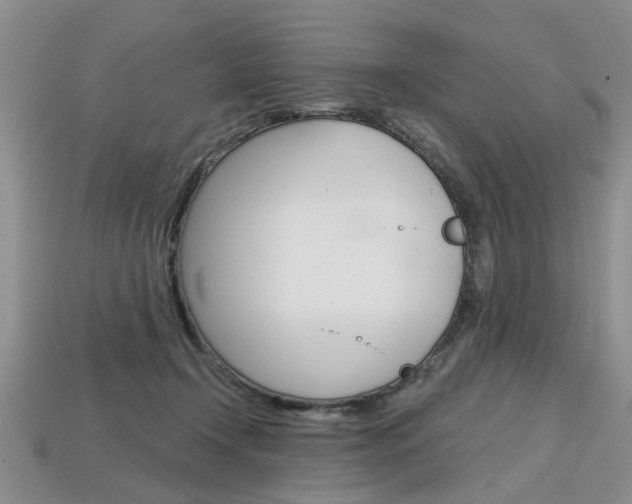X0000113860366200909241030