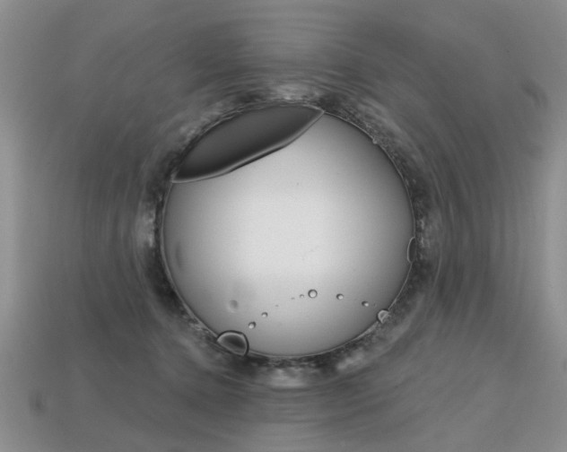 X0000113860368200909241030