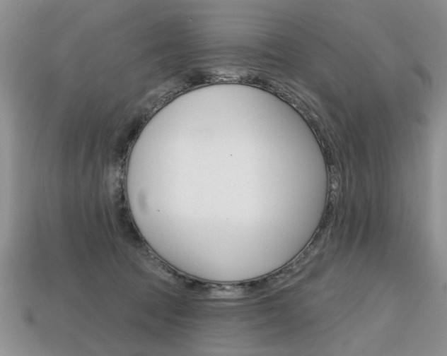 X0000113860369200909241030