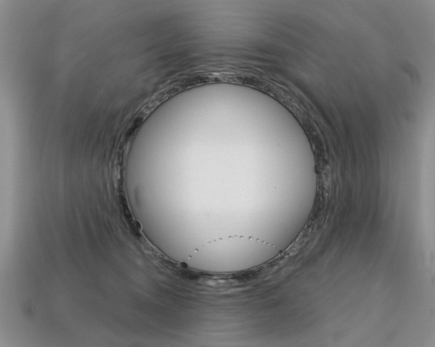 X0000113860372200909241030