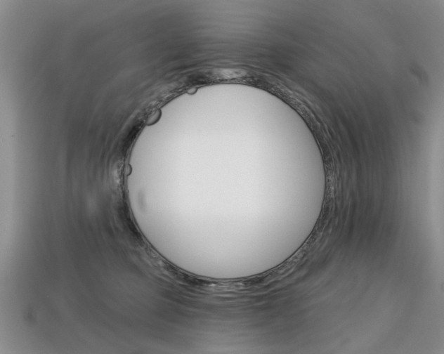 X0000113860373200909241030