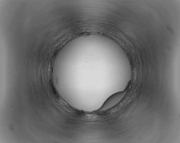 X0000113860376200909241030